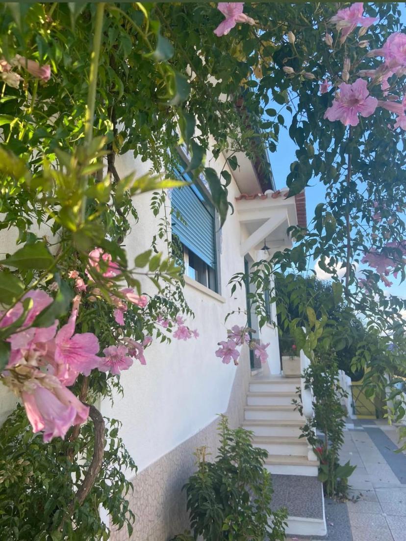 Casa De Azzancha Guest House Azinhaga Luaran gambar